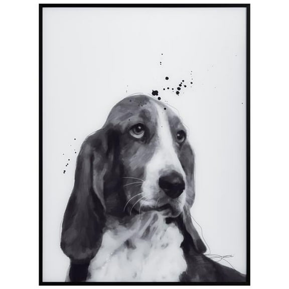 "Basset Hound" Black and White Pet Paintings on Printed Glass Encased with a Gunmetal Anodized Frame