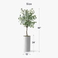 thumbnail image 4 of Artificial Tree in White Marble Effect Planter, Fake Eucalyptus Silk Tree for Indoor and Outdoor Home Decoration - 66" Overall Tall (Plant Pot Plus Tree), 4 of 5