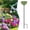 Green, variant on Drongq Butterfly Bath Water Bowl,Bee Feeders for Outside,Butterfly Feeders for Outdoors,Bee Baths for Garden,Butterfly Feeder,Metal Flower Garden Stakes Bird Bath,Bee Cups,Bee Watering Station