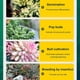 thumbnail image 5 of 300ml Nutrient for Promoting Succulent Germination and Growth, 5 of 5