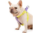thumbnail image 4 of HEANUJJ 1Ud Arnés Pecho Para Perro En Poliéster Y Con Ajustable Para, 4 of 8