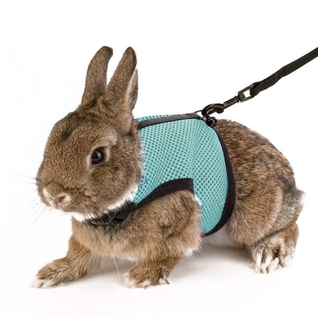 Flmtop Rabbit Guinea Pig Hamster Pet Harness Vest Mesh Chest Strap with Traction Leash Blue