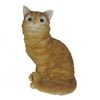 Michael Carr Cat Sitting Up Brown With White