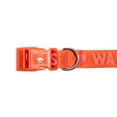 thumbnail image 4 of Oodles I Heart Walks Polyester Fashion Dog Collar, Red, XL, 4 of 9