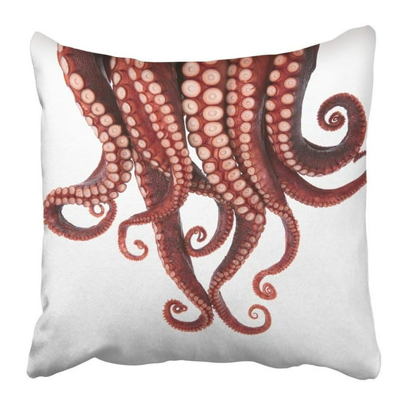 BSDHOME Red Squid Tentacles of Octopus White Seafood Beautiful Cuisine Cuttlefish Food Fresh Sea Pillowcase 20x20 inch