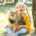 thumbnail image 5 of Saint Patrick's Day Breathable Chiffon Yarn Dog Accessories Collars (Pack of Two) - Translucent Light Material, 40.6x40.6x58/16x16x22.8in, 53.3x53.3x76.2/20.9x20.9x30 in, 5 of 5