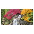 thumbnail image 2 of Japanese Maple Trees - Floral Photography Art, 2 of 3