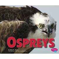 Ospreys