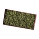 thumbnail image 5 of Toystoory Musgo de reno seco Natural tratado artesanías de musgo inmortal DIY decoración Floral verde Verde 500g 2Conjunto, 5 of 6