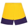 thumbnail image 3 of Men's Fanatics Purple/Gold Minnesota Vikings Big & Tall Launch Shorts, 3 of 3