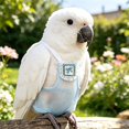 thumbnail image 5 of Breathable Summer Bird Diaper Bundle, Reusable Washable Parrot Nappy Comes with 1.4m Leash + Free 10 Disposable Pads, Ideal for Parrots, Conures, Cockatiels & Pigeons, 5 of 5