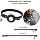 thumbnail image 5 of Adjustable Airtag Pet Cat Collars Gps Reflective Collar With Airtag Holder Breakaway Safety Buckle And Bell & Fishbone Pendant, 5 of 5