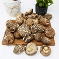 thumbnail image 3 of DOL Dried Small Flower Mushroom & Premium Grade Dried Shiitake Mushrooms 實惠包裝 8oz.(227g.), 3 of 5