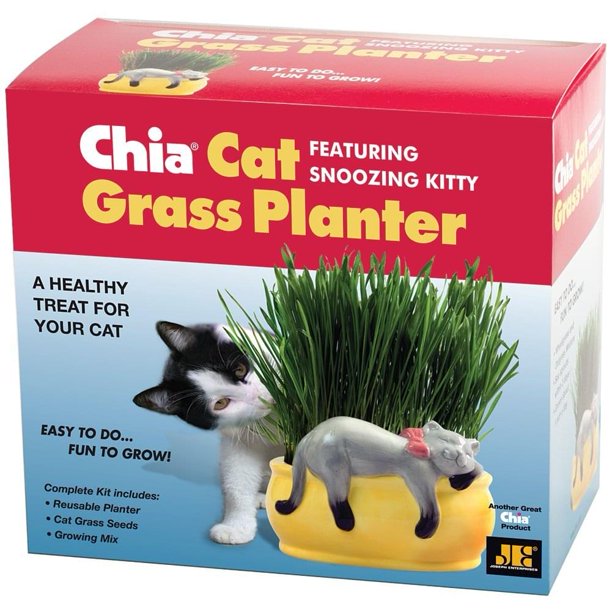 Chia Pet Grass Planter Snoozy Cat