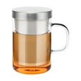 thumbnail image 1 of 450ml Infuser Glass Tea Cup Borosilicate Glass Tea Cup with Filter and Lid, 1 of 5