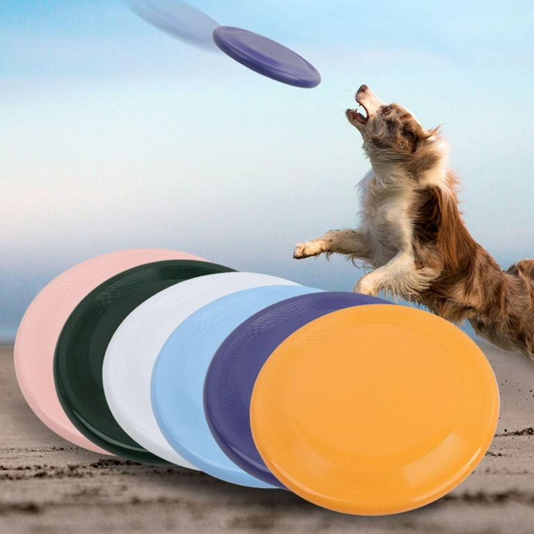 Flying disc dog outlet toy