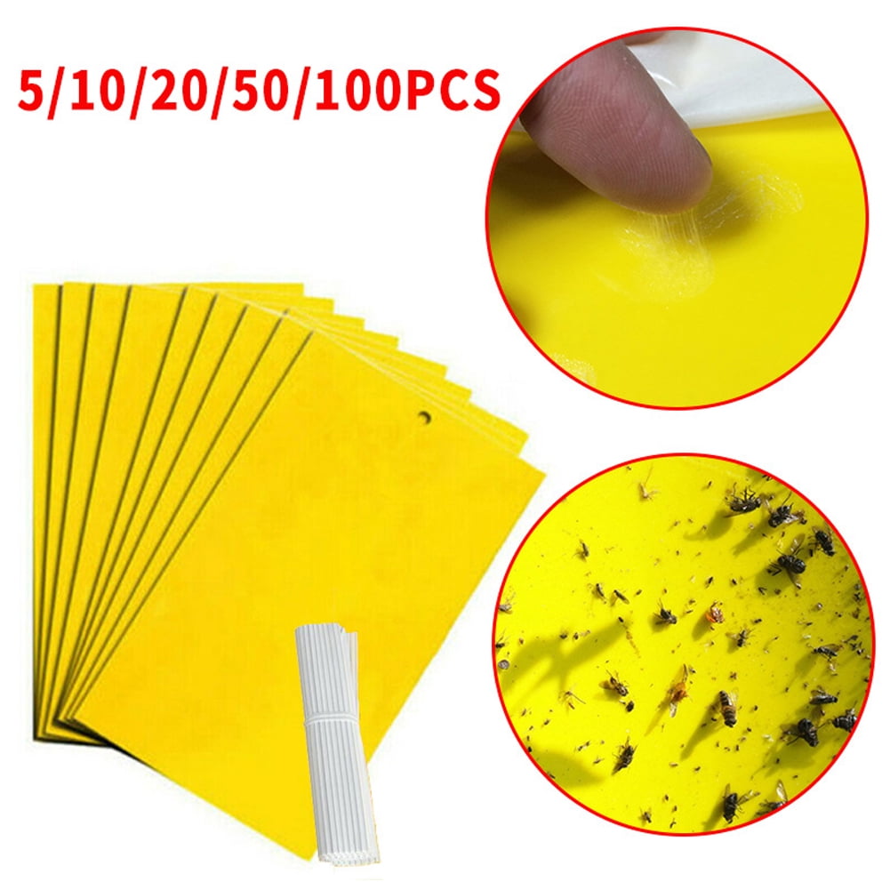 Traps Fruit Flies Insect Glue Catcher Set 50 Pcs Sticky Fly Trap Paper Yellow 