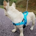 thumbnail image 7 of Dog Harness No Pull Dog Harnesses Adjustable Pet Walking Training Vest for Medium Large Dogs Bulldog (blue,S), 7 of 7