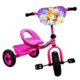 thumbnail image 1 of Triciclo Infantil Importacion  Princesa Sofia Rosa, 1 of 5