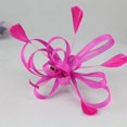 thumbnail image 4 of Looped Flower Net Feather Fascinator Bodas Carreras Baile Damas Accesorios para el cabello Rosado Hugo Clips para el cabello fascinador para las mujeres, 4 of 5