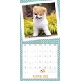 thumbnail image 4 of Mead 2022 Boo Wall Calendar, 12 x 12 Inches, Bilingual, 16-Months (DDF0622822), Multi, 4 of 5