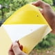 thumbnail image 1 of Limited time offer!20Pcs Strong Traps Sticky Board Catching Aphid Pest, 1 of 8