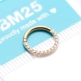 thumbnail image 4 of Implant Grade Titanium Golden Brilliant Sparkle Gems Front Lined Clicker Hoop Ring, 4 of 4