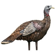 Avian X LCD Lookout Hen Collapsible Hunting Decoy w/ Stake, Bag, & Strap