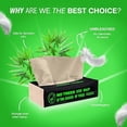 thumbnail image 2 of Beco Bamboo Facial Tissue Paper Box-Soft Pack 100 pulls | Pack of 6, 2 of 5