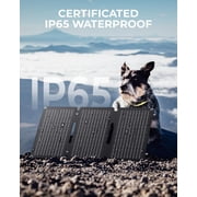 30W Solar Charger with Kickstand, BigBlue SolarPowa 30 ETFE Solar Panel Charger with DC, PD 20W USB-C and USB-A, IP65 Waterproof, Compatible with iPhone, Samsung, iPad, Small Power Station