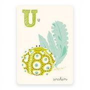 Urchin | ABC Card