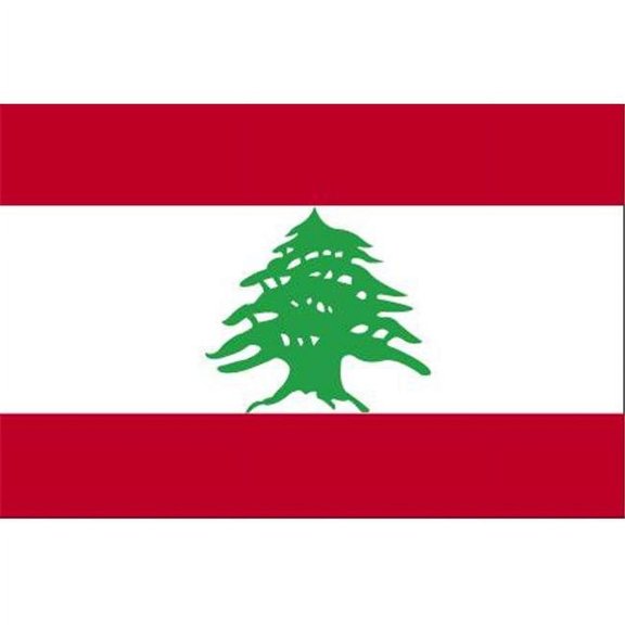 5 ft. X 8 ft. Nyl-Glo Lebanon Flag