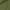 Military Green, variant on See You In Valhalla T-Shirt Viking Warrior Shirt Viking Patriotic Tee Norse Nordic Gifts