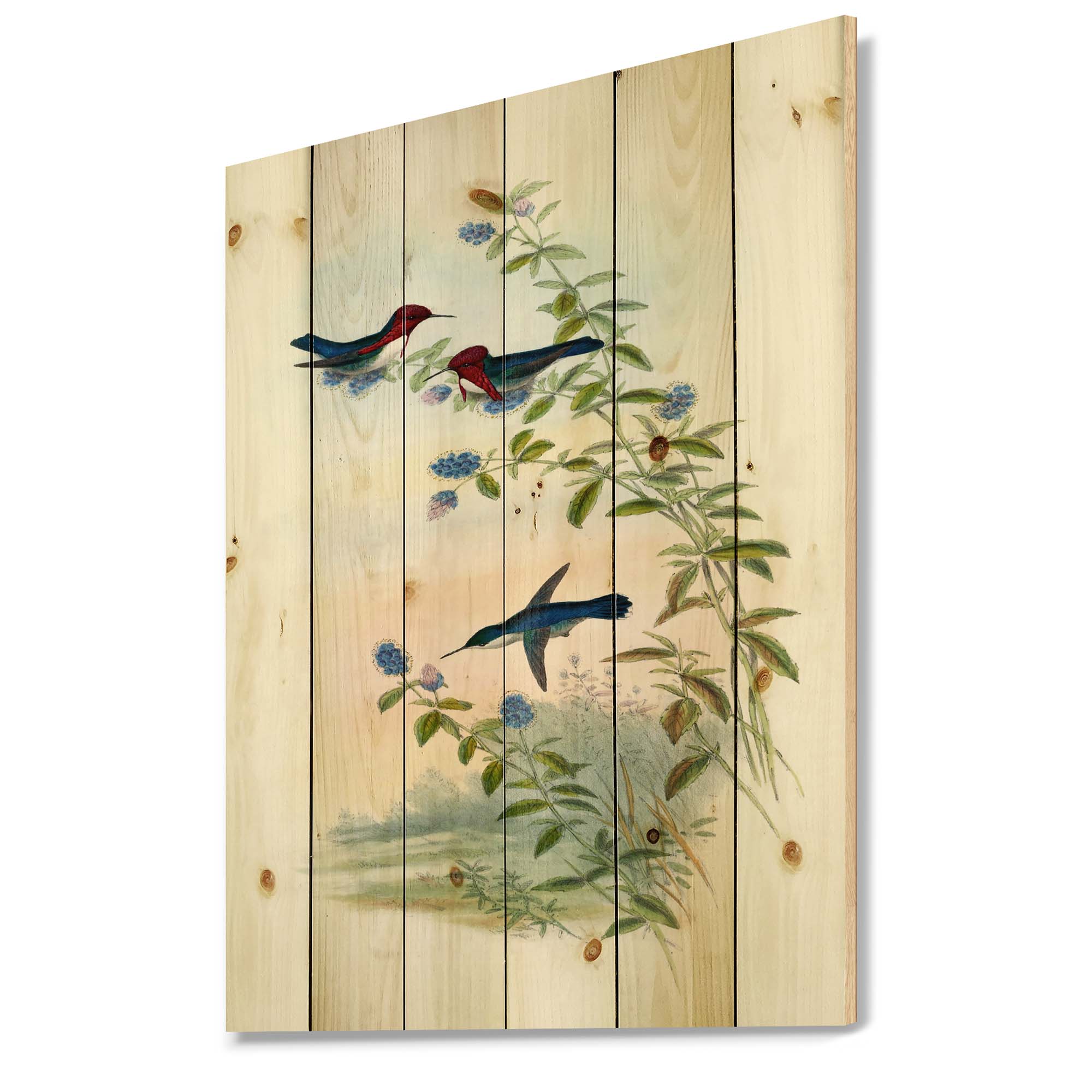 Designart 'Ancient Hummingbird II' Traditional Print on Natural Pine Wood