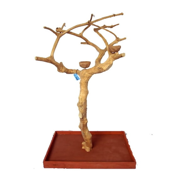 A&E Cage Company Pet Bird Supplies Small Java Wood Tree Boxed - 38"x24"x61"