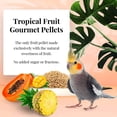 thumbnail image 3 of 4lb Cockatiel Tropical Fruit Pellets, 3 of 8