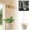 C, variant on Natural fiber boho hanging storage rack versatile plant organizer for modern home indoor decor
