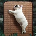 thumbnail image 3 of Summer Dog Mat DoubleSided Pet Cooling Cushion Soft Breathable Cat Sleeping Bed(Coffee Color Footprint L), 3 of 4