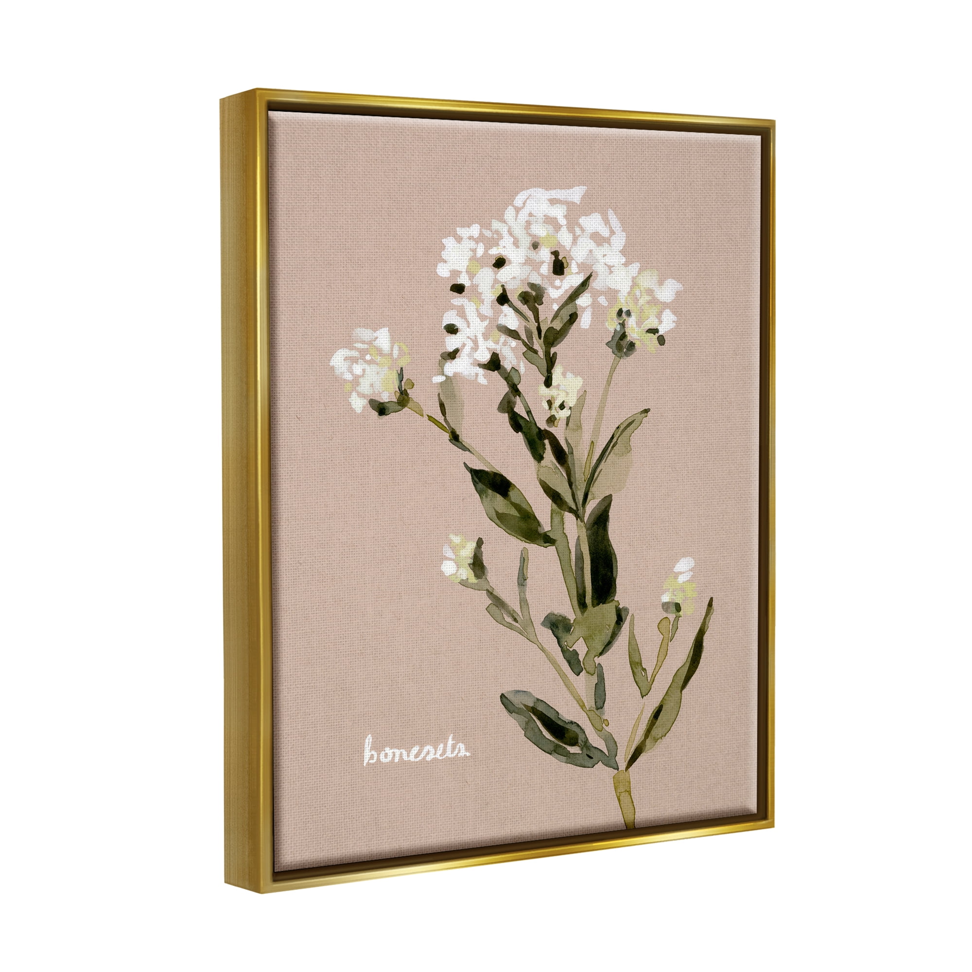 Stupell Industries Boneset Flower Sprig Nature Botanical & Floral Painting Gold Floater Framed Art Print Wall Art