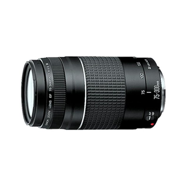 Lente Zoom Canon 75-300 f 4-5.6 llI Reacondicionado Grado A Canon 75300