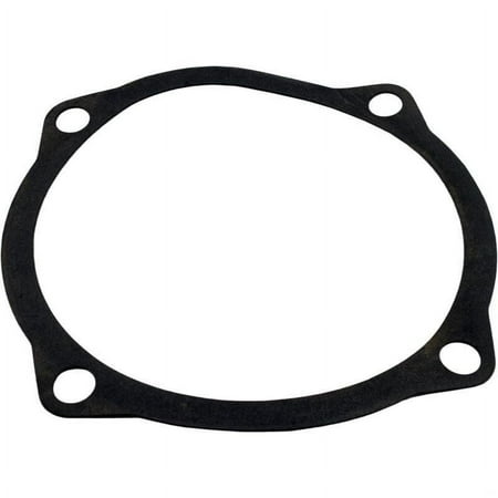 Waterco 19B5025 Hydro 5000 Gasket Seal Plate