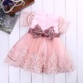 thumbnail image 4 of Girl's Fancy Pink Dress, 4 of 9