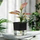 thumbnail image 5 of Maceta cuadrada transparente de autoriego | Jardinera automática de plástico absorbente de agua | Contenedor moderno interior para cactus de suculentas | Drenaje integrado | 1 pieza, 5 of 7