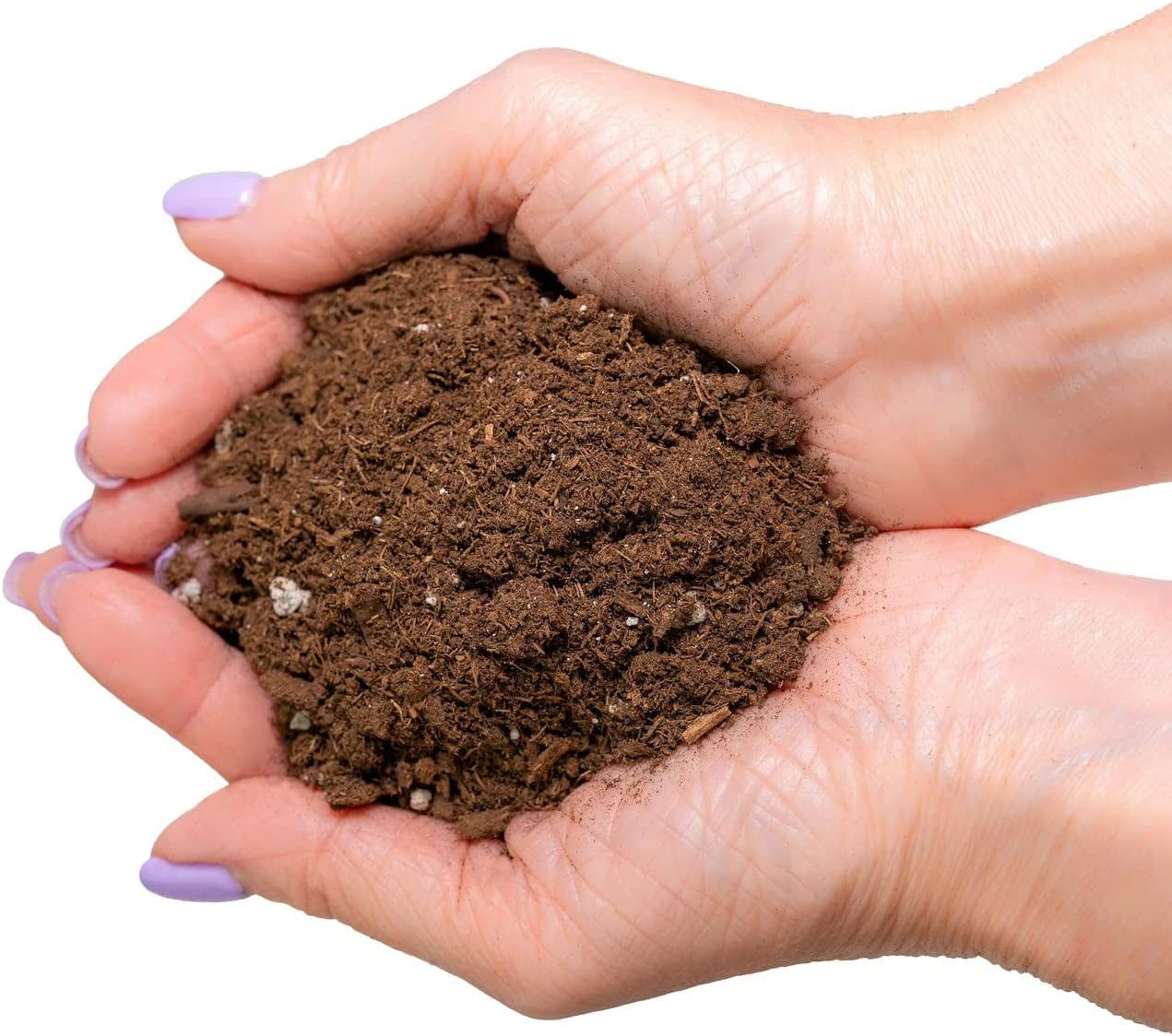 GARDENERA Money Tree Potting Soil, Soil Mix for Planting or Repotting Guiana Chestnut, Soil Blended to Properly Grow Money Tree Plants - (4 Quart Bag)