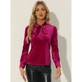 thumbnail image 4 of Unique Bargains Women's Retro Velvet Tie Neck Long Sleeve Work Blouse Top XL Hot Pink, 4 of 6