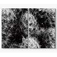 thumbnail image 3 of PixonSign Canvas Print Wall Art Set Albiflora Cacti Botanical Wilderness Photography Modern Art Contemporary Portrait Relax/Calm Dark Black and White for Living Room, Bedroom, Office - 24"x36"x2, 3 of 5