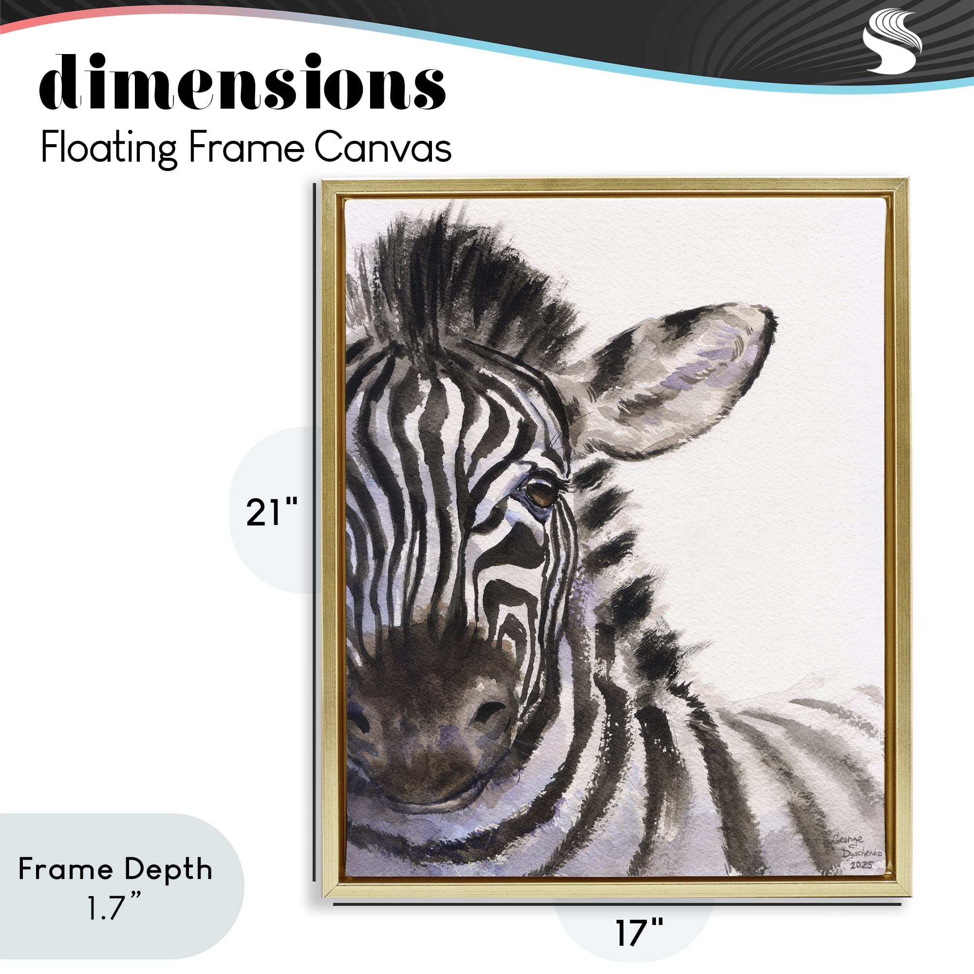 Stupell Industries Zebra Portrait on White Gold Framed Floater Canvas Wall Art, design by George Dyachenko