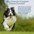 thumbnail image 4 of Rx Vitamins Phos-Bind - Kidney Support Supplement Powder - Phosphate Binder for Cats & Dogs for Kidney Health - Supports Normal Kidney Cleanse and Essential Kidney Care - 200g, 4 of 8