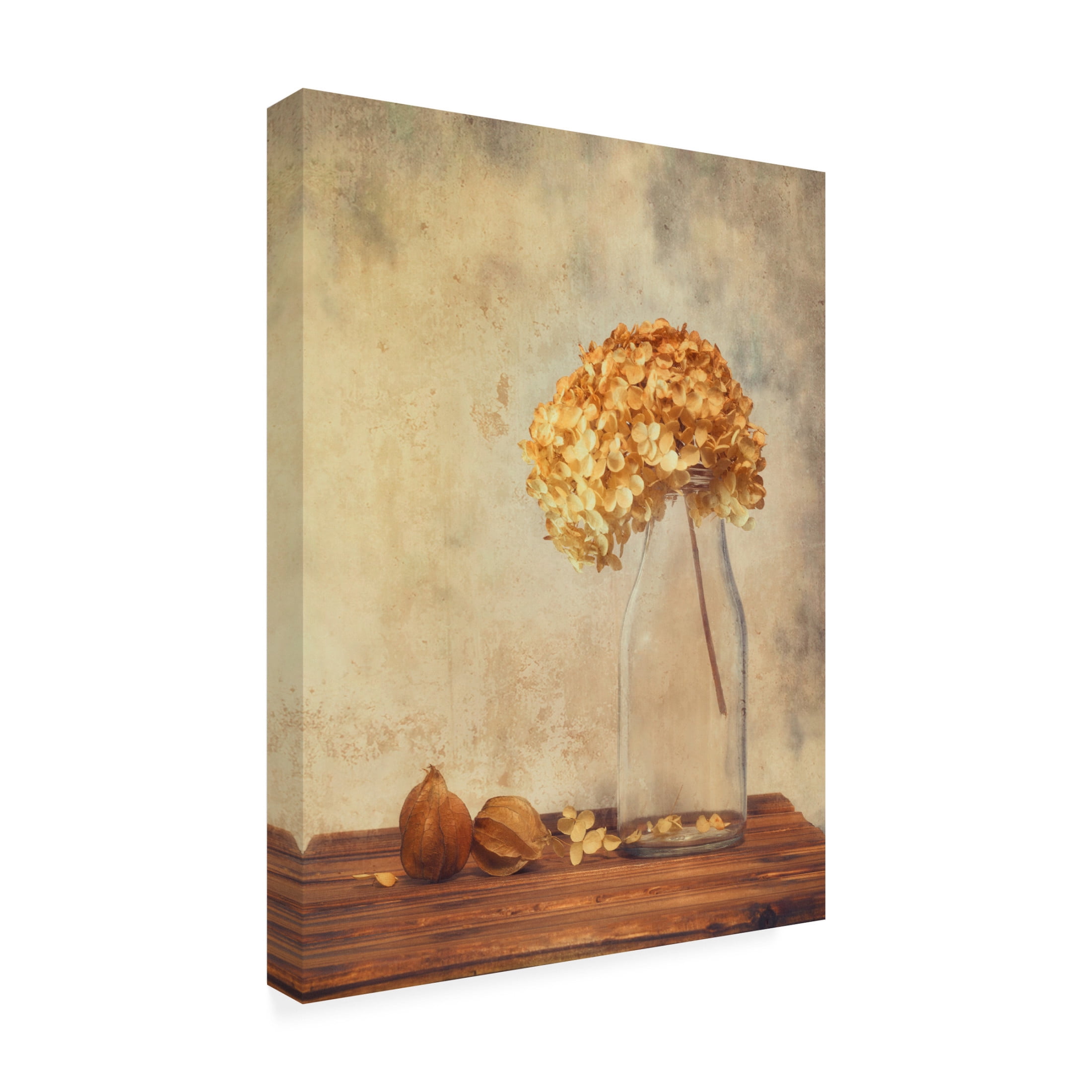 Canvas Wall Art - Sophie Pan 'Warm Glow' Wall Art for Living Room, Bedroom, or Office D?cor by Trademark Fine Art - 18 x 24 Inches