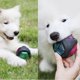 thumbnail image 3 of Molares Pelota de goma luminosa para mascotas que brilla intensamente, juguete de entrenamiento para cachorros Ndcxsfigh Libre de BPA, 3 of 7